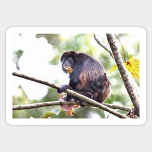 Howler monkeys - Costa Rica Sticker